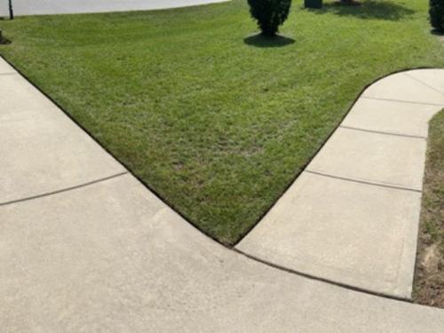 Untitled design (6)